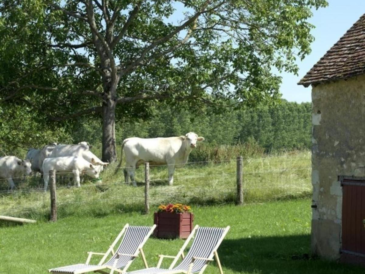Gite Authentique Au Coeur Du Perche, 18Eme Siecle, Cheminee, Jardin Clos, Animaux Acceptes, Wifi Inclus. - Fr-1-497-49 Pervencheres Zewnętrze zdjęcie