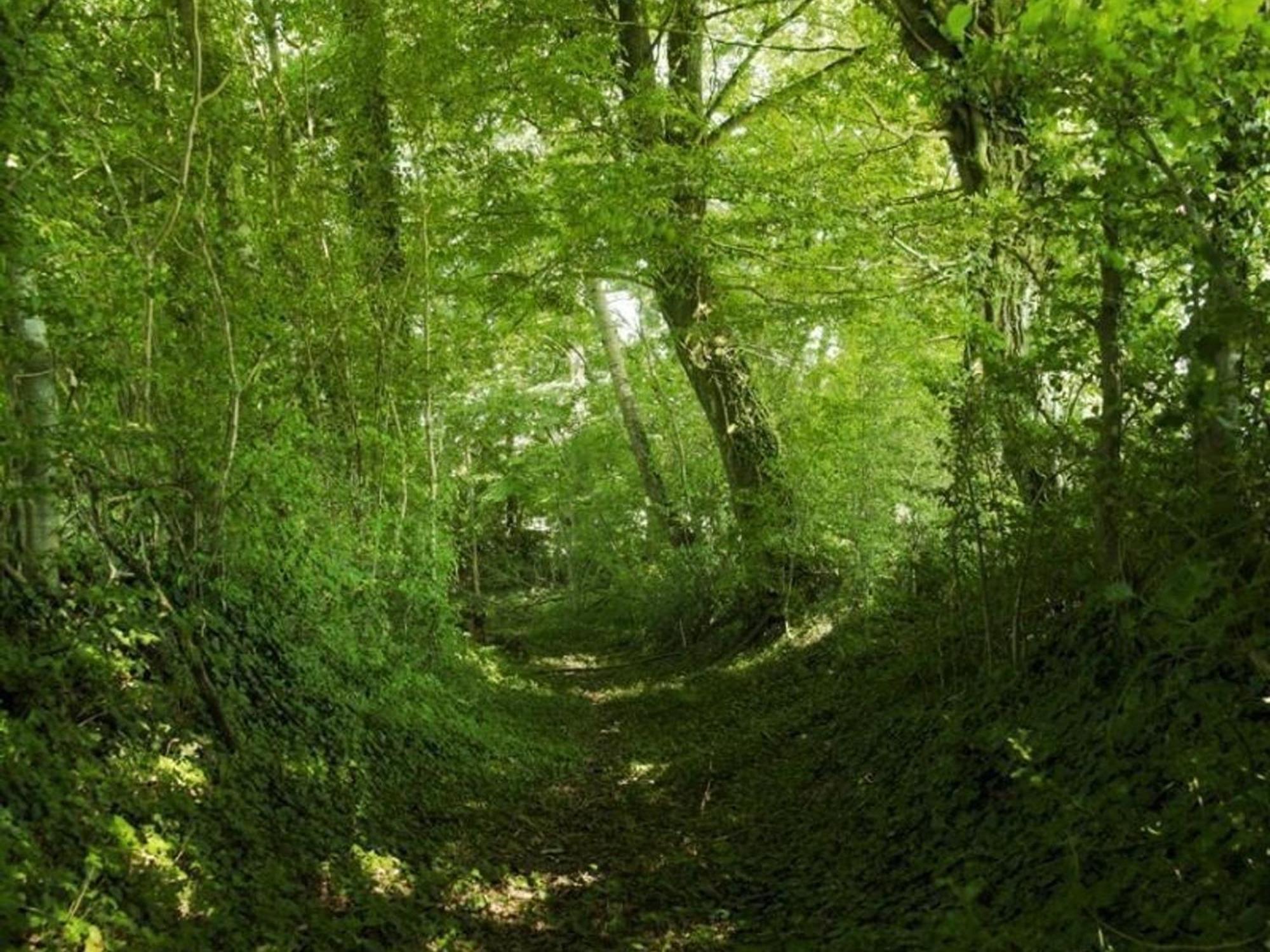 Gite Authentique Au Coeur Du Perche, 18Eme Siecle, Cheminee, Jardin Clos, Animaux Acceptes, Wifi Inclus. - Fr-1-497-49 Pervencheres Zewnętrze zdjęcie